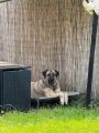 Vorschaubild 9
