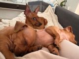 Vorschaubild 5