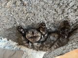 Vorschaubild 2