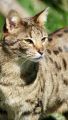 Vorschaubild 6