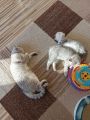 Vorschaubild 7