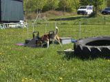 Vorschaubild 2