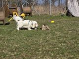 Vorschaubild 3