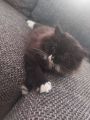 Vorschaubild 1