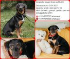 Vorschaubild 1