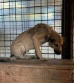 Vorschaubild 6