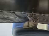 Vorschaubild 9