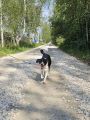 Vorschaubild 4