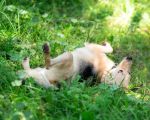 Vorschaubild 3