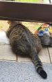 Vorschaubild 5