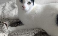 Vorschaubild 3