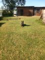 Vorschaubild 2