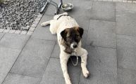 Vorschaubild 4