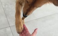 Vorschaubild 5