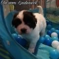 Vorschaubild 6