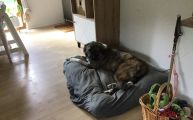 Vorschaubild 2