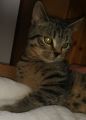 Vorschaubild 6