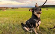 Vorschaubild 1