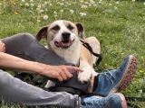 Vorschaubild 10