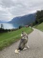 Vorschaubild 5