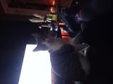 Vorschaubild 7