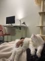 Vorschaubild 5
