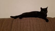 Vorschaubild 8