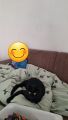 Vorschaubild 4