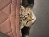 Vorschaubild 4