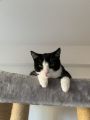 Vorschaubild 7