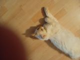 Vorschaubild 3