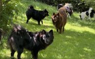 Vorschaubild 8