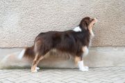 Vorschaubild 6