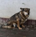 Vorschaubild 8