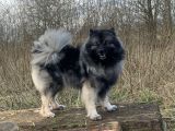 Vorschaubild 7
