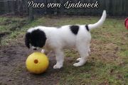 Vorschaubild 4