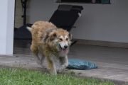 Vorschaubild 6