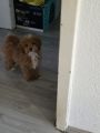 Vorschaubild 5