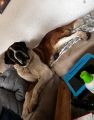 Vorschaubild 3