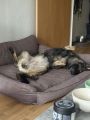Vorschaubild 8