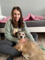 Vorschaubild 7