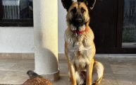 Vorschaubild 4