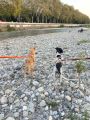 Vorschaubild 6