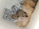 Vorschaubild 9