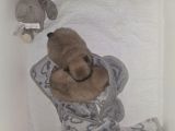 Vorschaubild 6