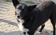 Vorschaubild 2