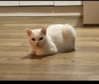 Vorschaubild 5