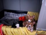 Vorschaubild 2