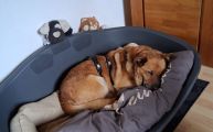 Vorschaubild 5