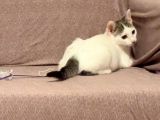 Vorschaubild 3